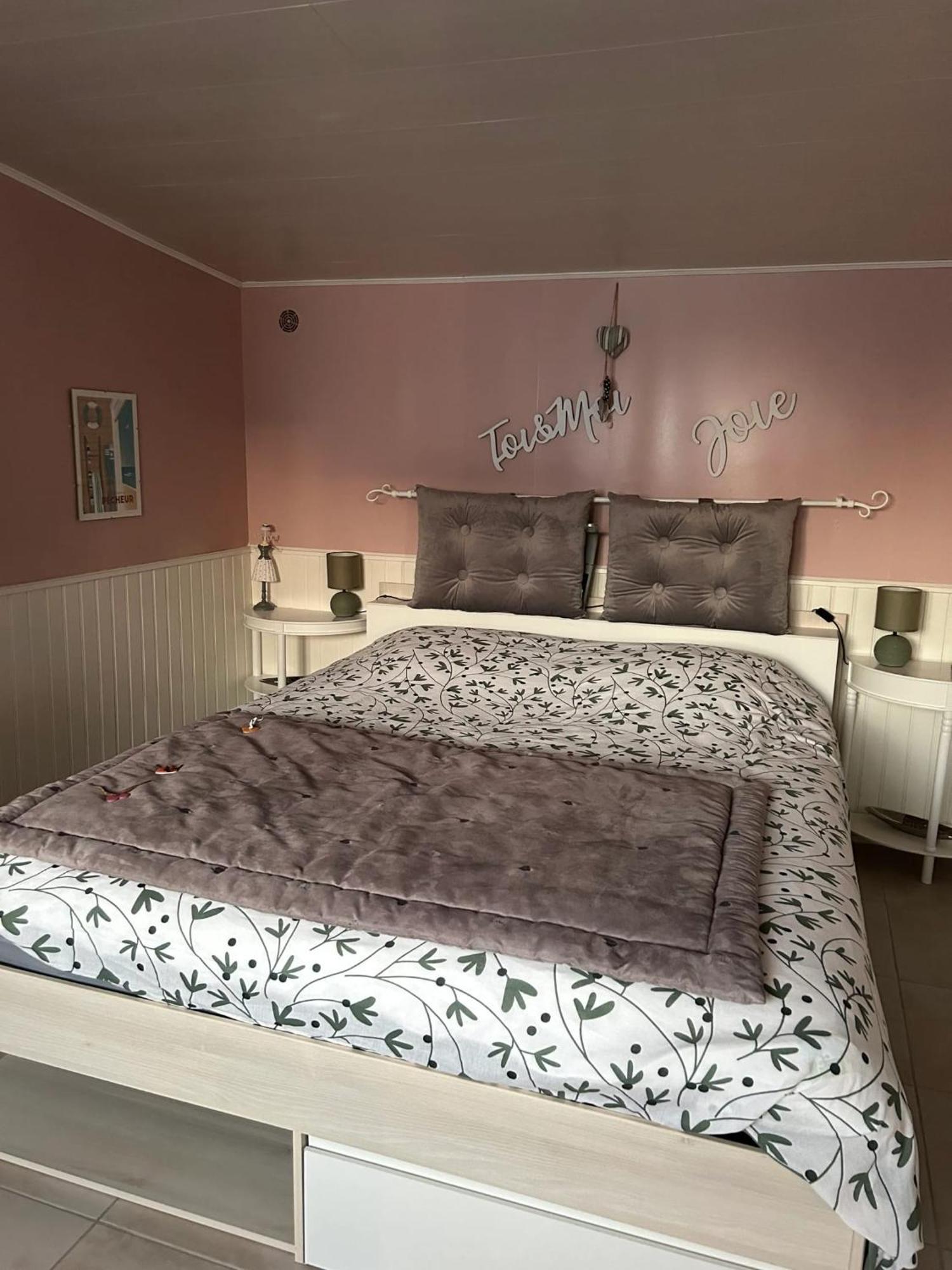 Maison Confort & Jardin A סן-פייר-ד'אולרון מראה חיצוני תמונה